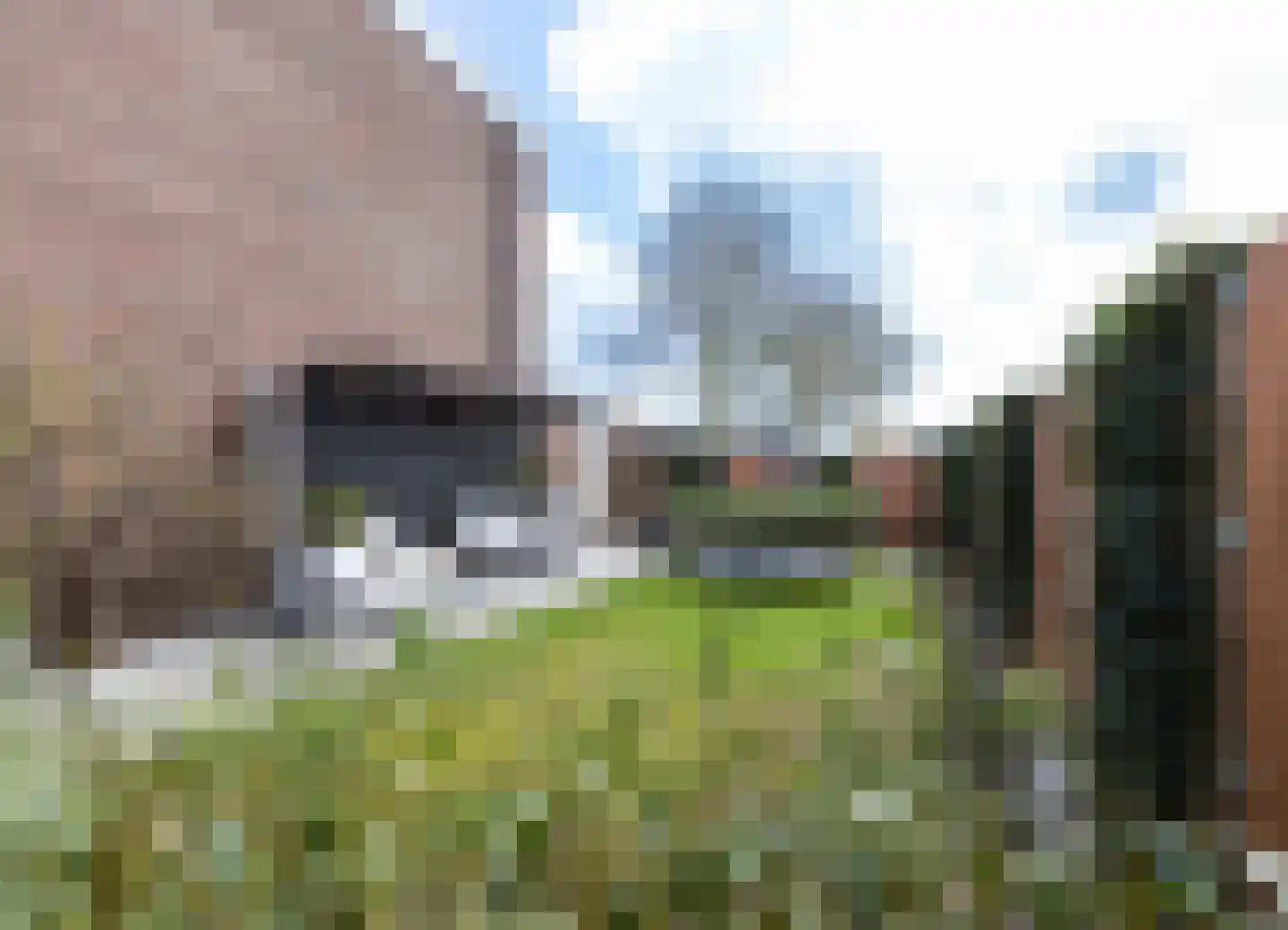 Dennenlaan 73 Leimuiden thumbnail 22