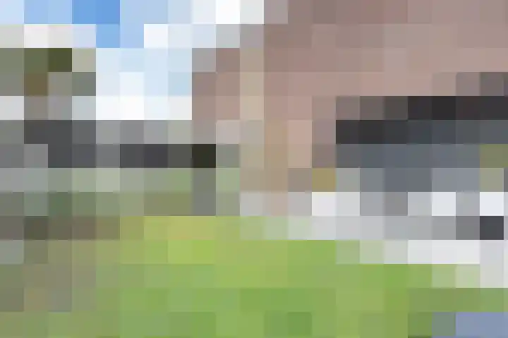 Dennenlaan 73 Leimuiden thumbnail 23