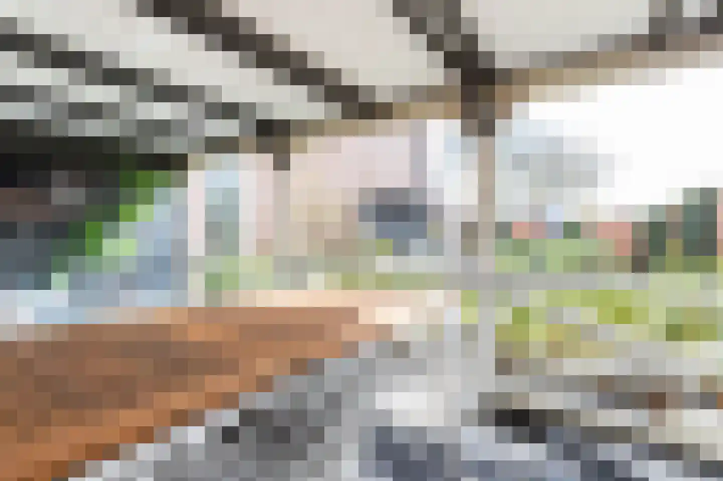 Dennenlaan 73 Leimuiden thumbnail 24
