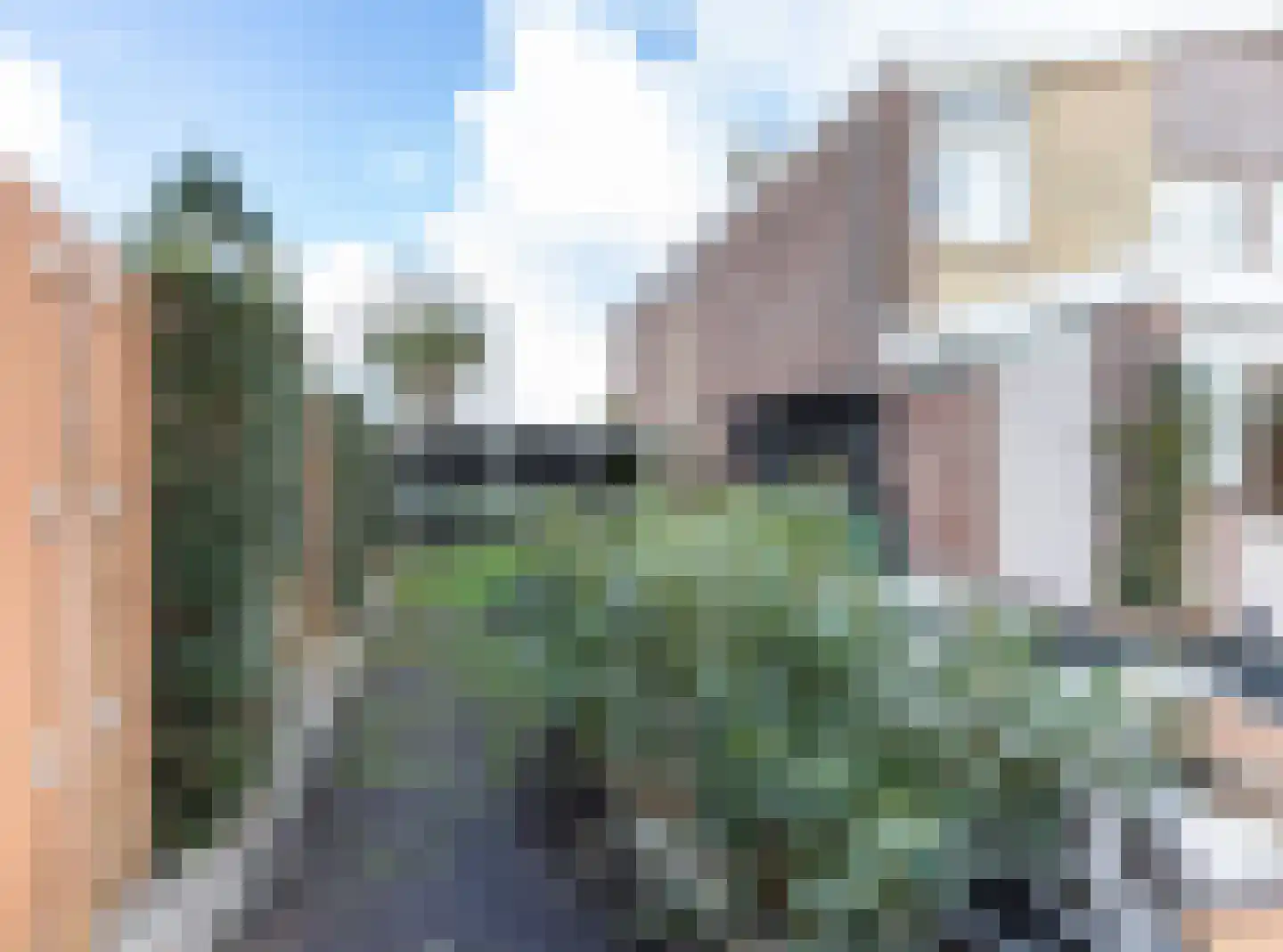 Dennenlaan 73 Leimuiden thumbnail 28