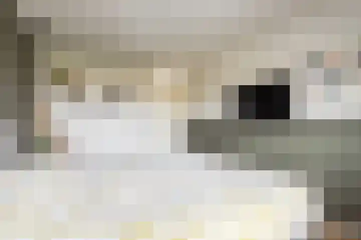 Dennenlaan 73 Leimuiden thumbnail 37