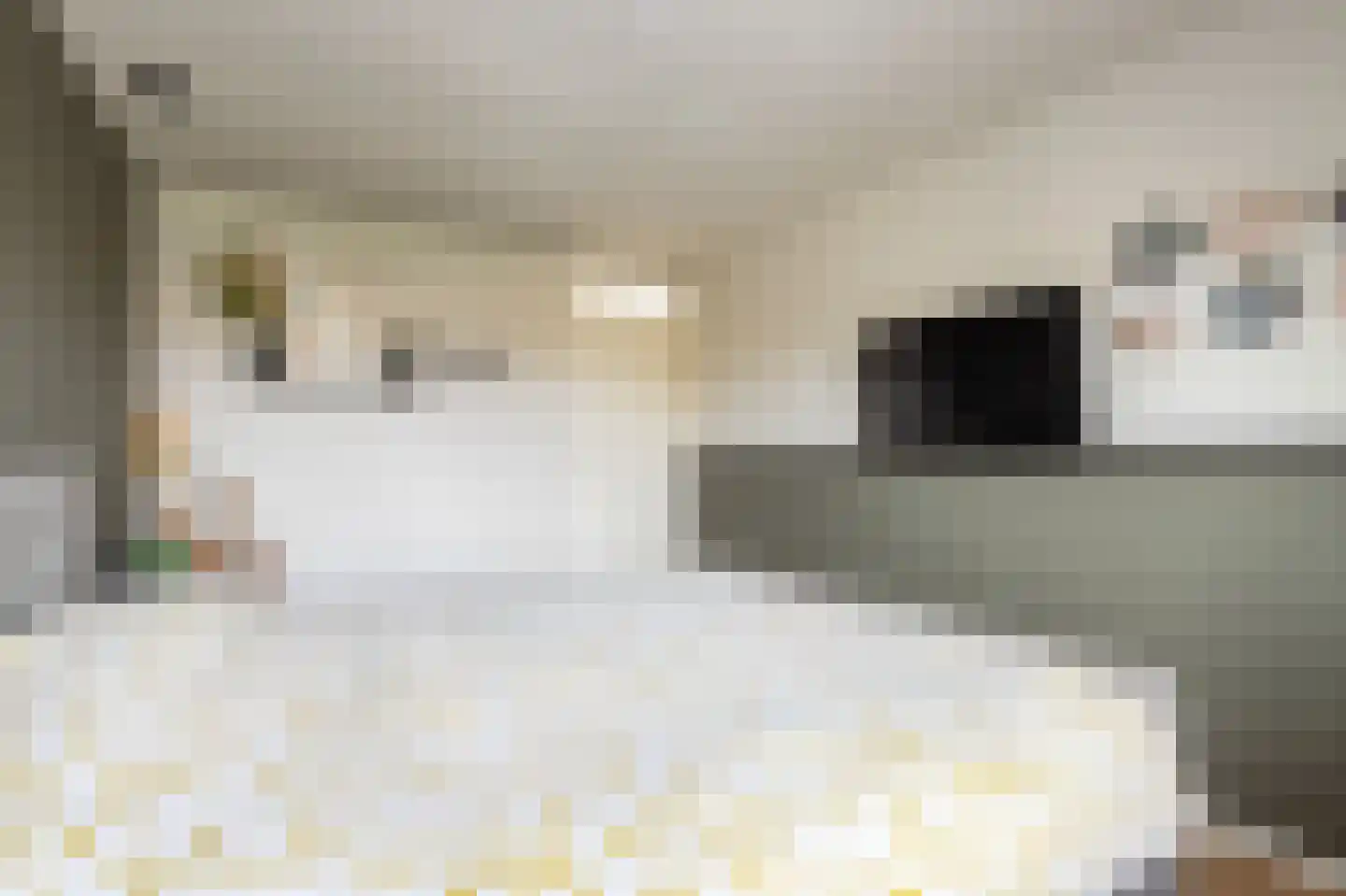 Dennenlaan 73 Leimuiden thumbnail 37