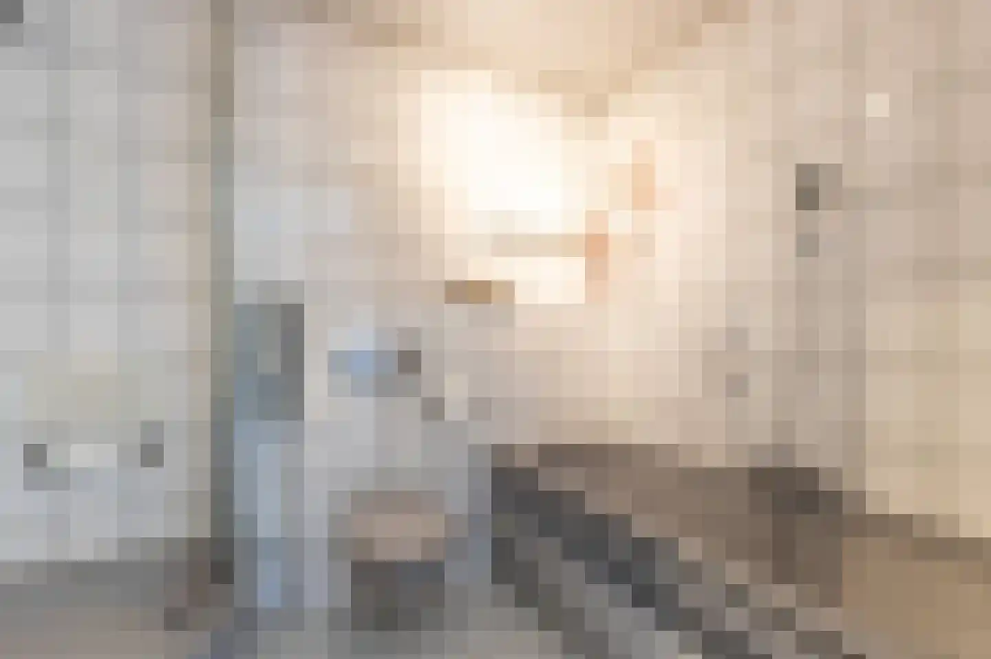 Dennenlaan 73 Leimuiden thumbnail 39