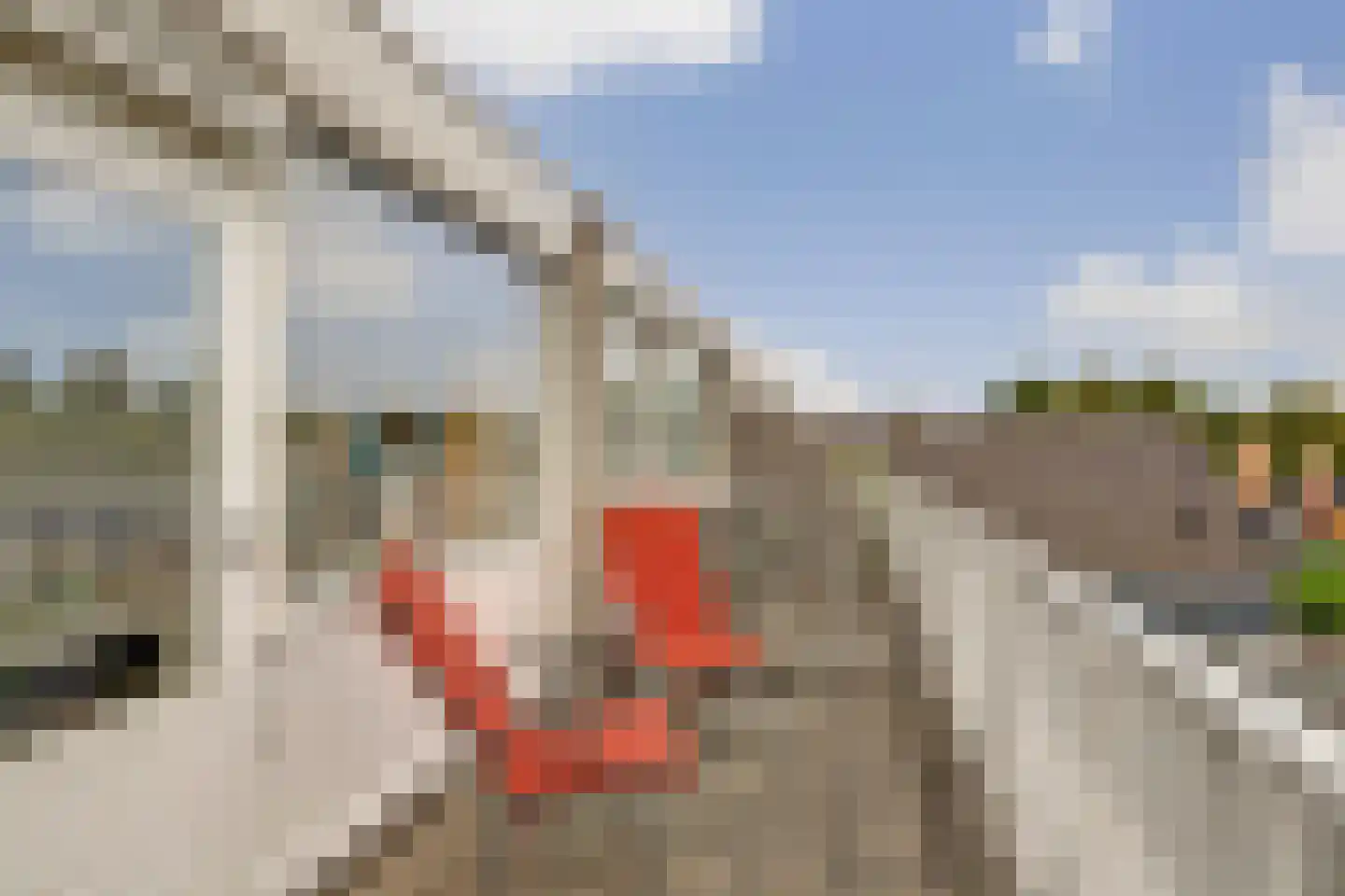 Dennenlaan 8 Dordrecht thumbnail 36