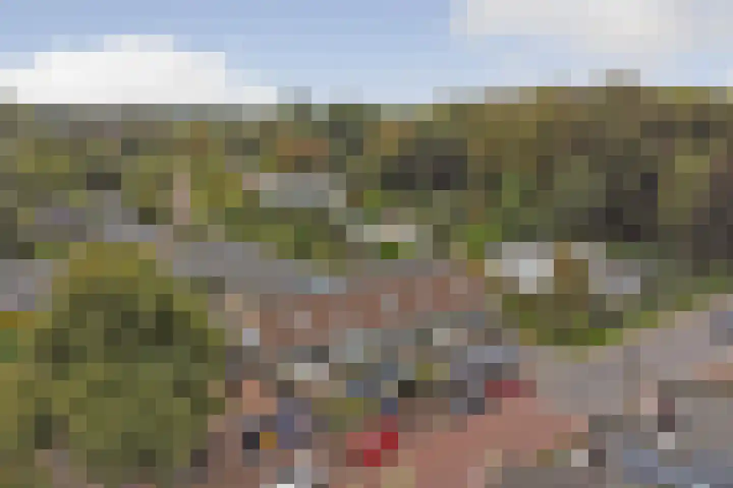 Dennenlaan 8 Dordrecht thumbnail 48