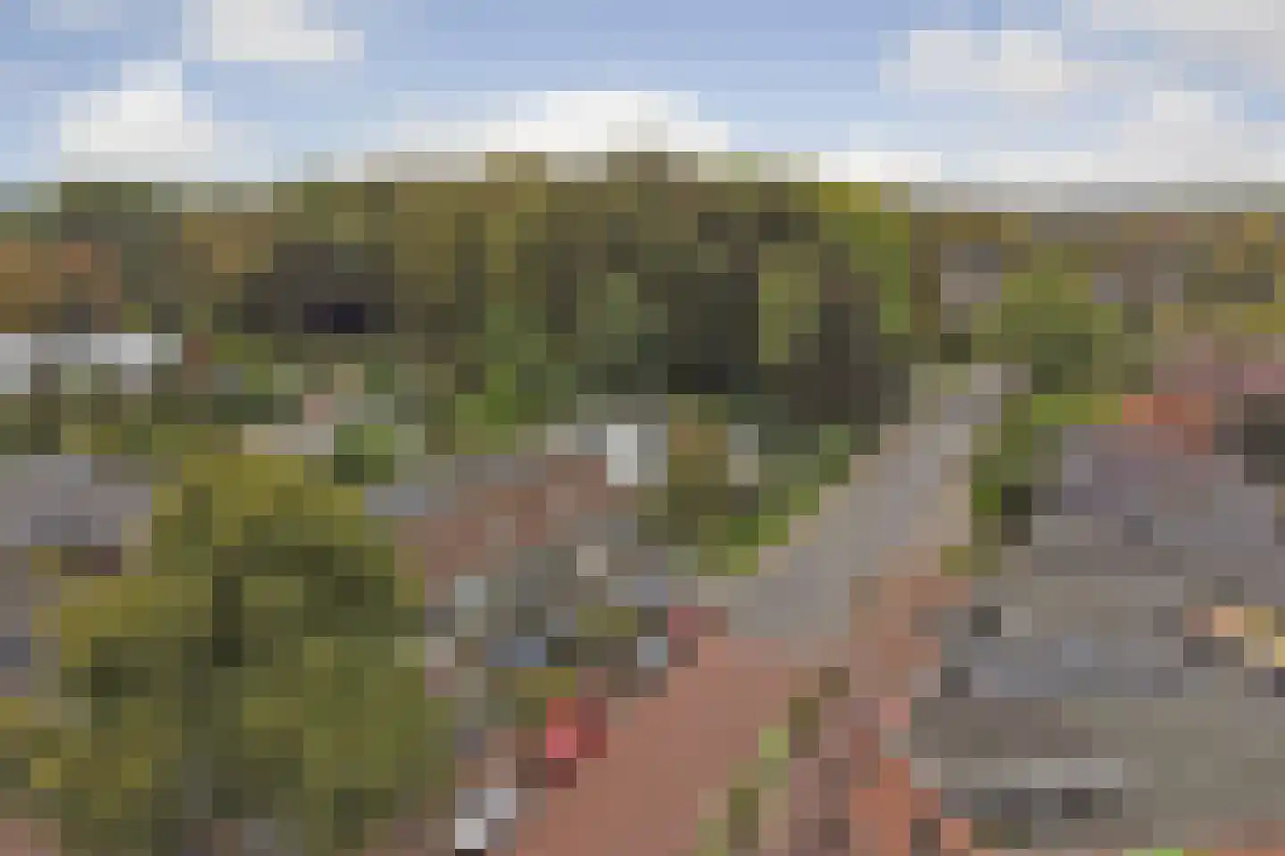 Dennenlaan 8 Dordrecht thumbnail 49