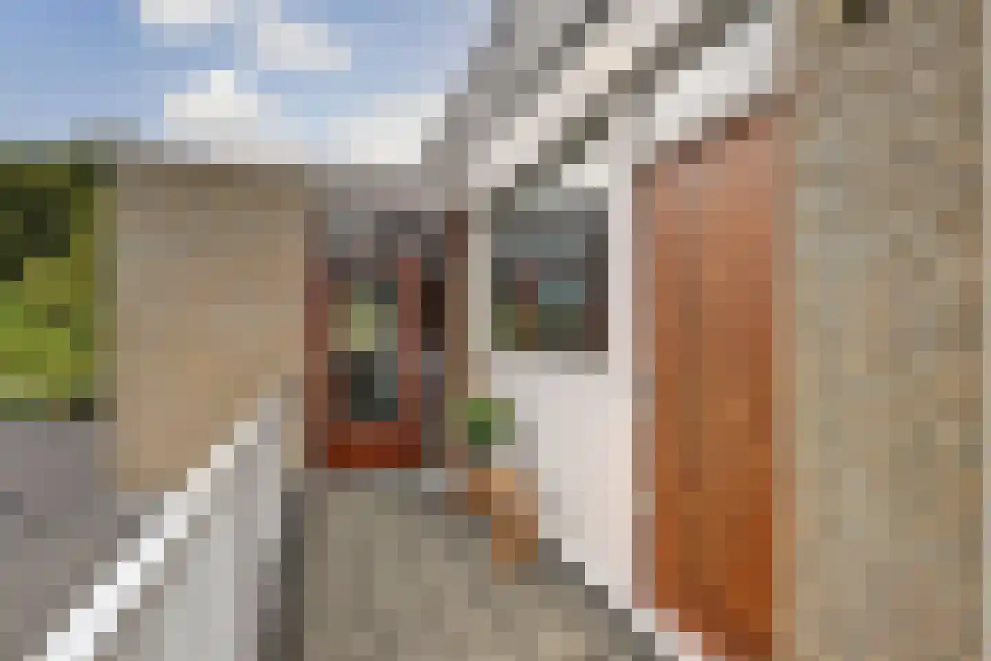 Dennenlaan 8 Dordrecht thumbnail 8
