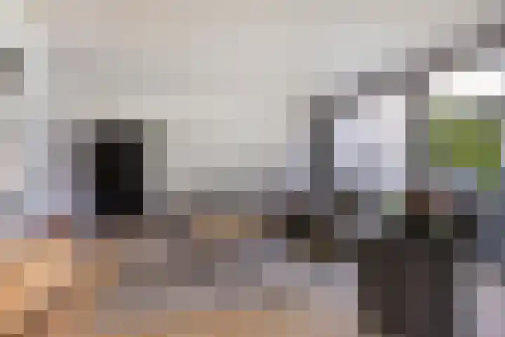 Dennenlaan 8 Heijen thumbnail 10