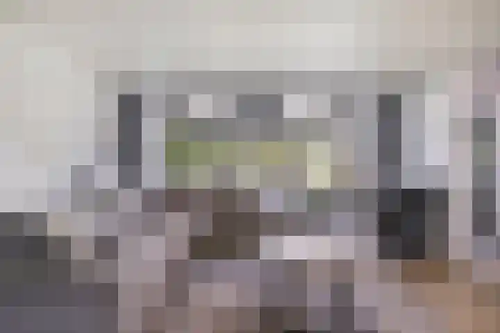 Dennenlaan 8 Heijen thumbnail 11