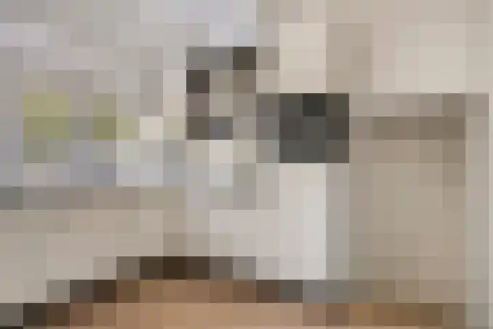 Dennenlaan 8 Heijen thumbnail 16