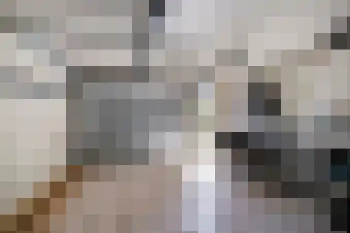 Dennenlaan 8 Heijen thumbnail 19