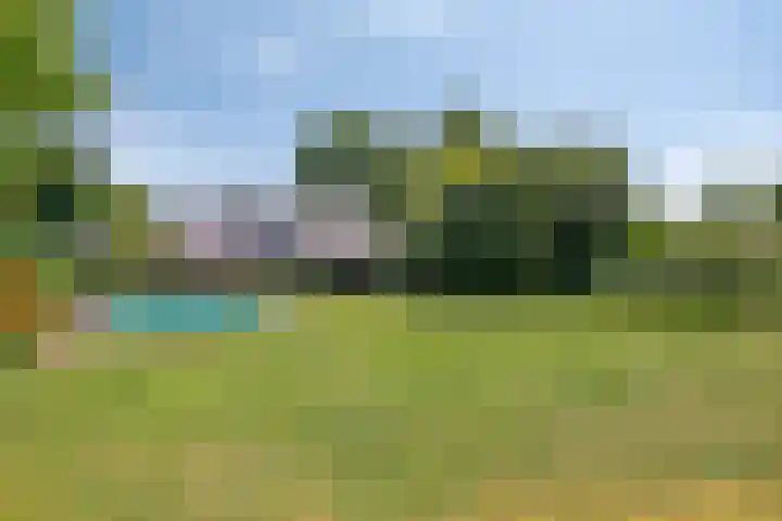 Dennenlaan 8 Heijen foto 2