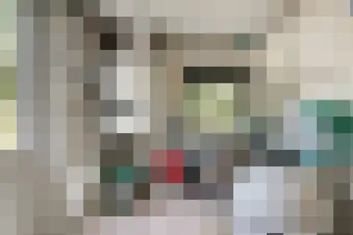 Dennenlaan 8 Heijen thumbnail 20