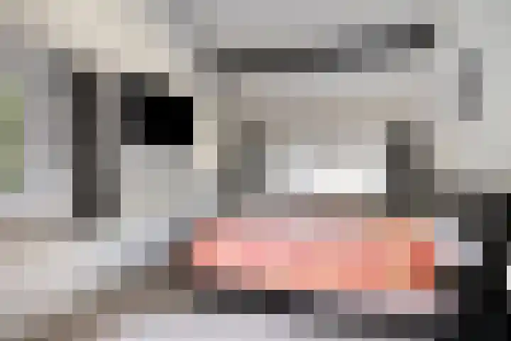 Dennenlaan 8 Heijen thumbnail 24