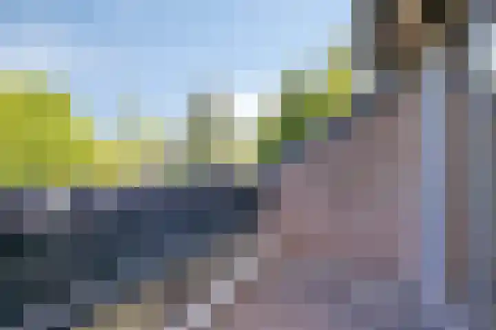 Dennenlaan 8 Heijen thumbnail 30