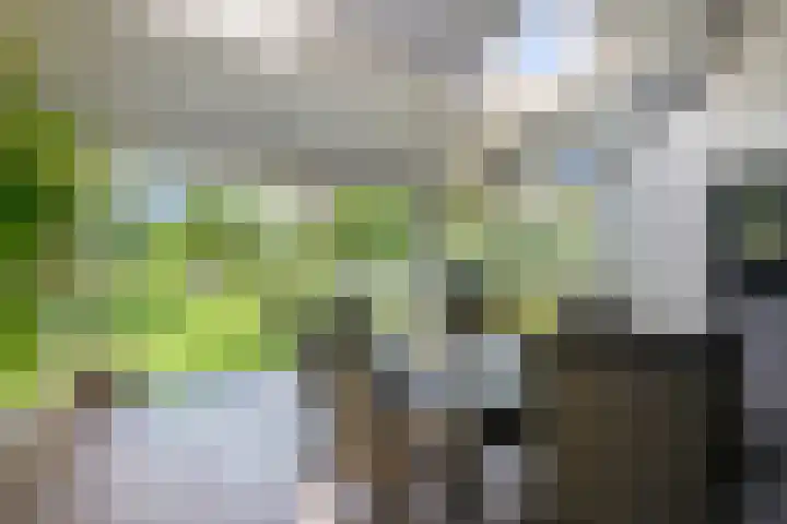 Dennenlaan 8 Heijen thumbnail 40