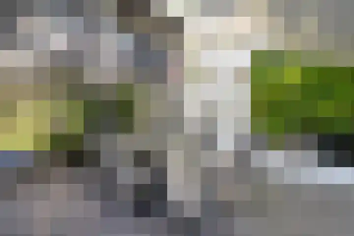 Dennenlaan 8 Heijen thumbnail 41