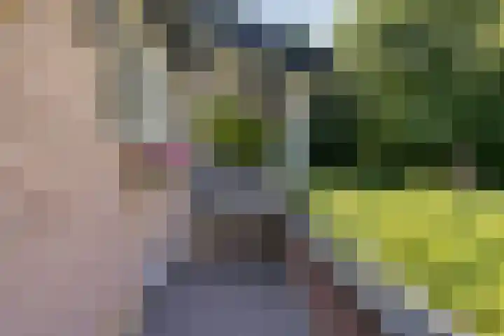Dennenlaan 8 Heijen thumbnail 42