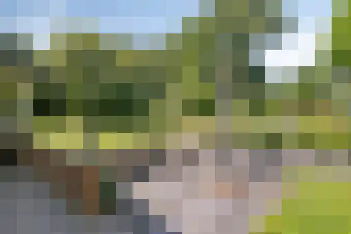 Dennenlaan 8 Heijen thumbnail 43