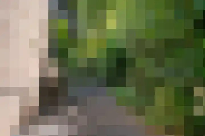 Dennenlaan 8 Heijen thumbnail 44