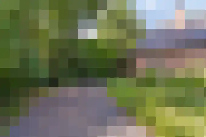 Dennenlaan 8 Heijen thumbnail 47