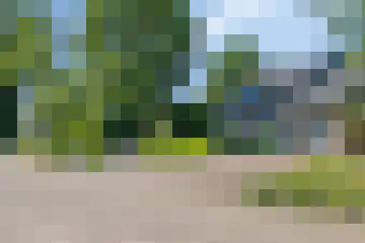Dennenlaan 8 Heijen thumbnail 49