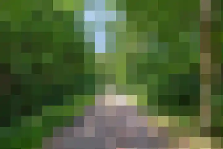 Dennenlaan 8 Heijen thumbnail 50