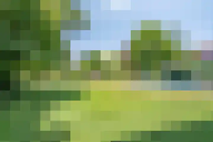 Dennenlaan 8 Heijen thumbnail 6