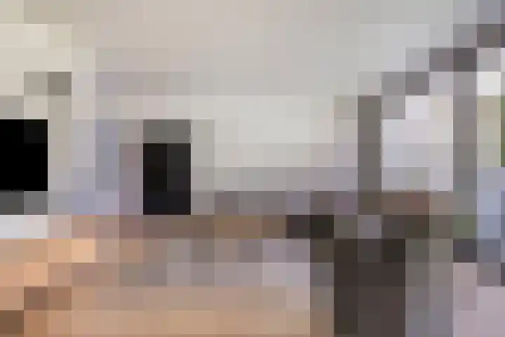 Dennenlaan 8 Heijen thumbnail 9