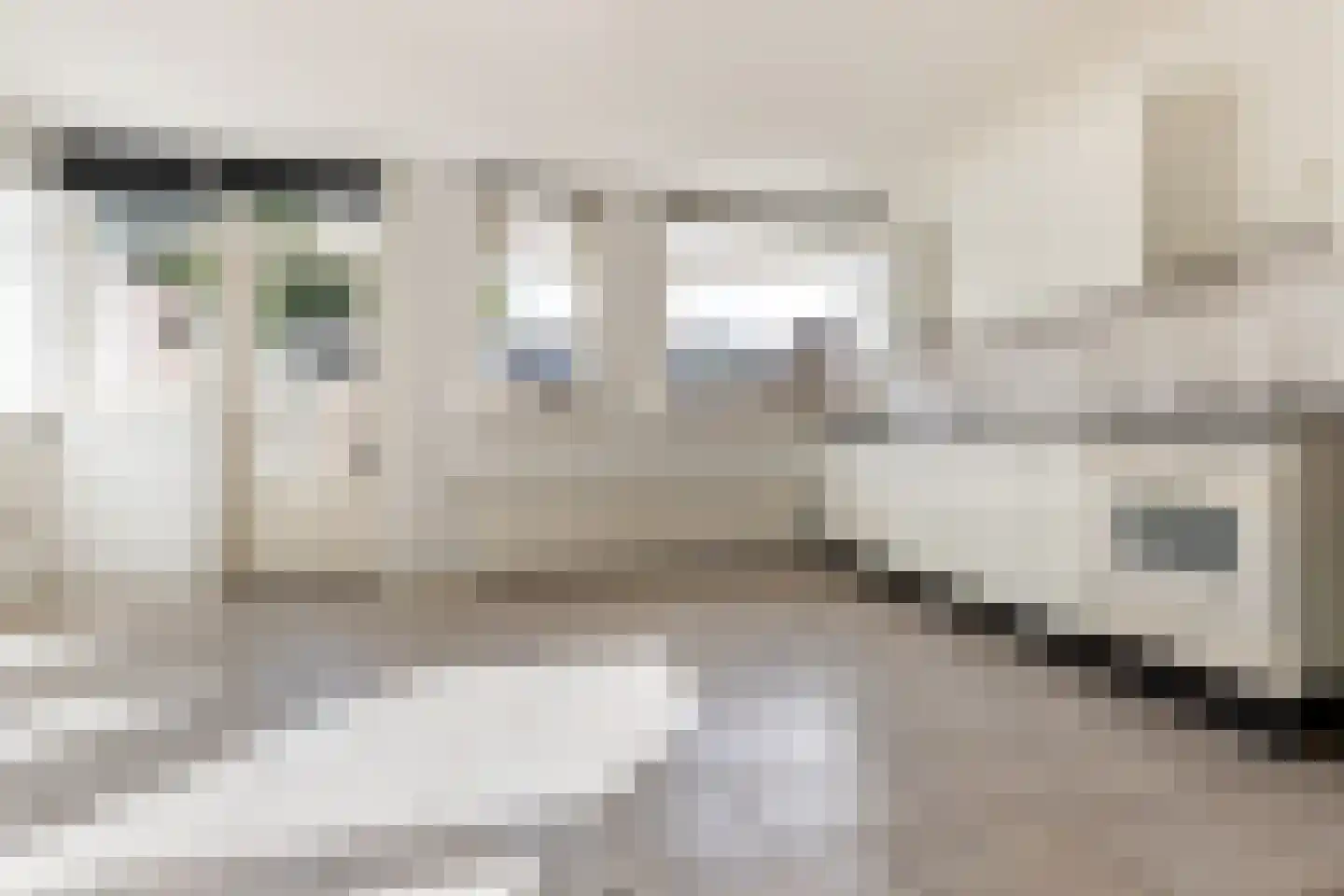 Dennenlaan 8 Leimuiden thumbnail 14