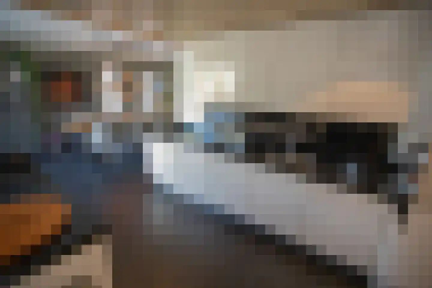 Dennenlaan 9 Aadorp thumbnail 22