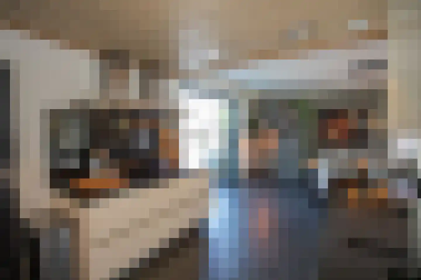 Dennenlaan 9 Aadorp thumbnail 23