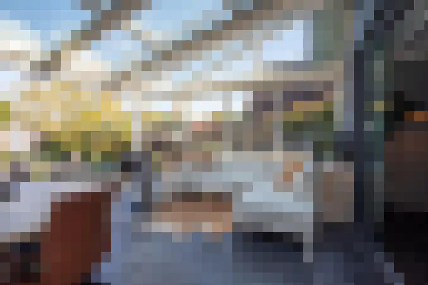 Dennenlaan 9 Aadorp thumbnail 26