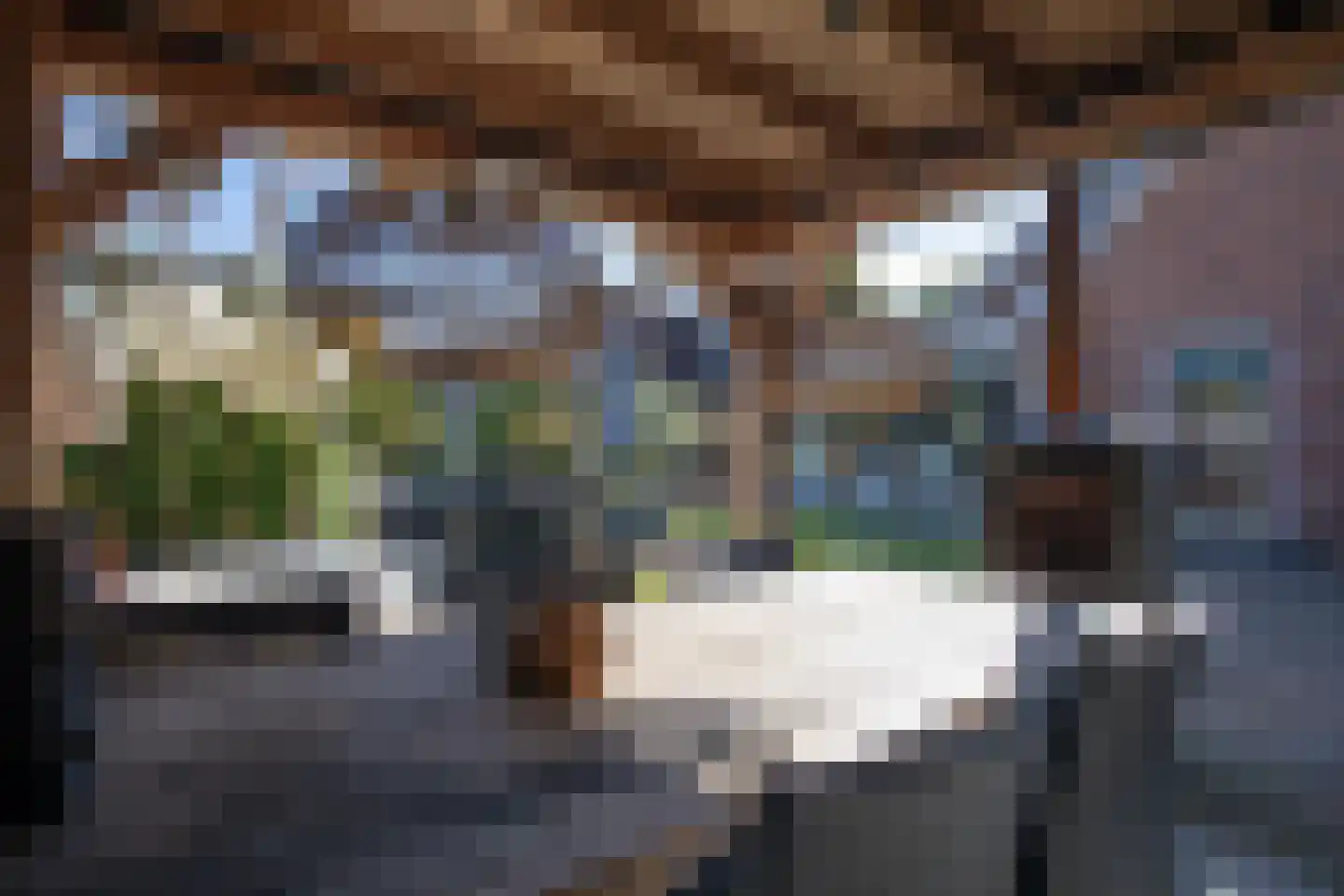 Dennenlaan 9 Aadorp thumbnail 33