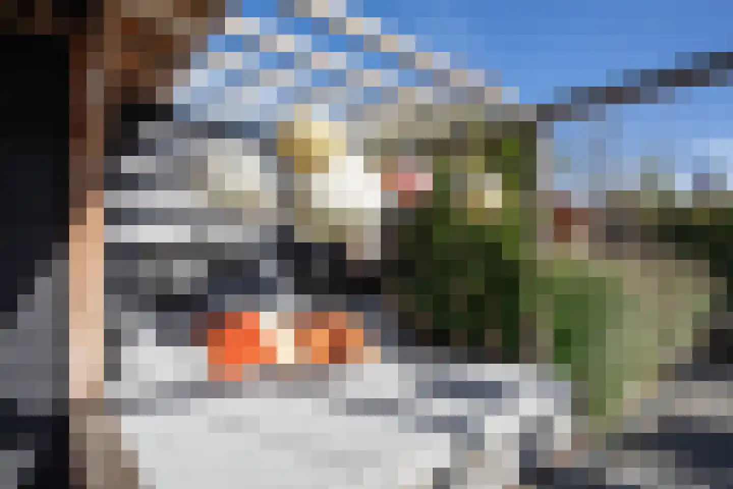Dennenlaan 9 Aadorp thumbnail 35
