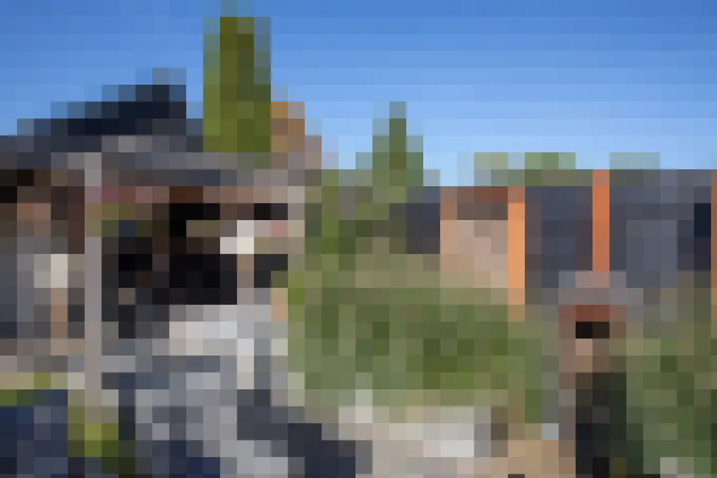 Dennenlaan 9 Aadorp thumbnail 40
