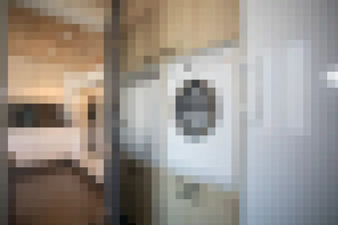 Dennenlaan 9 Aadorp thumbnail 42