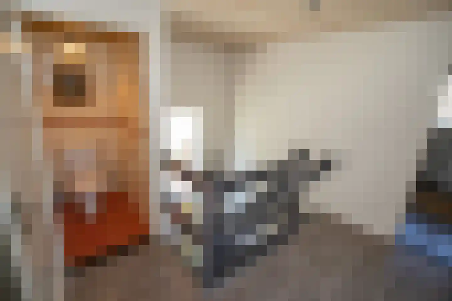 Dennenlaan 9 Aadorp thumbnail 46