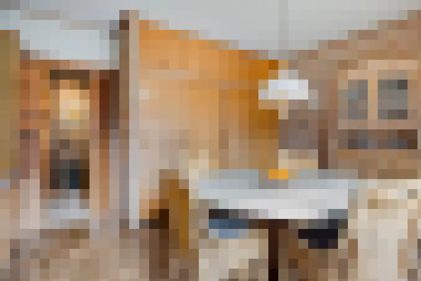 Dennenlaan 9 Epe thumbnail 18
