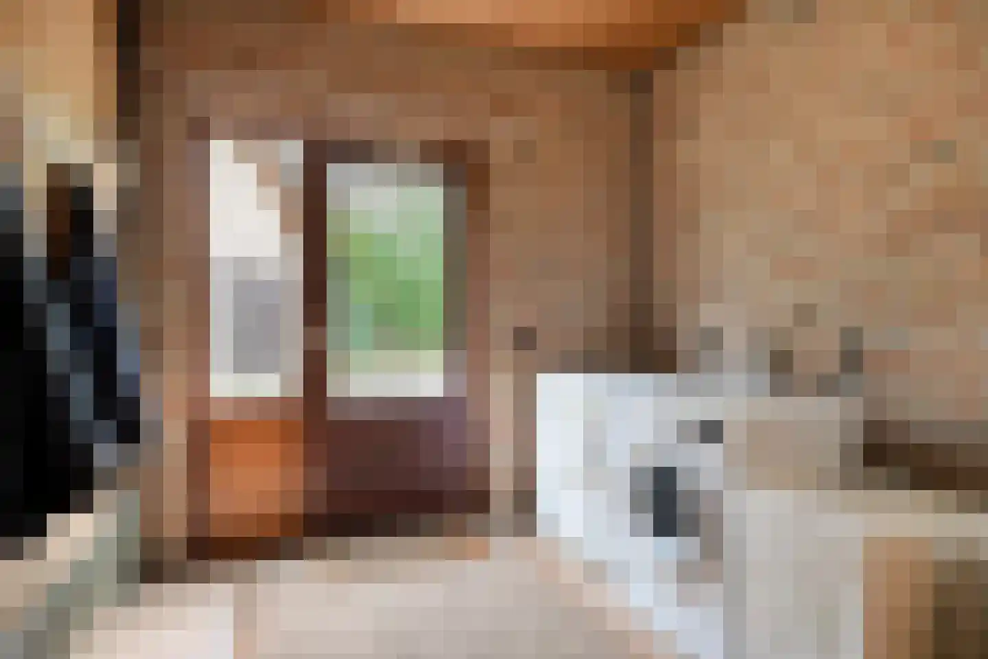 Dennenlaan 9 Epe thumbnail 24