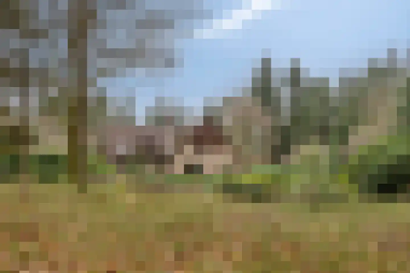 Dennenlaan 9 Epe thumbnail 4