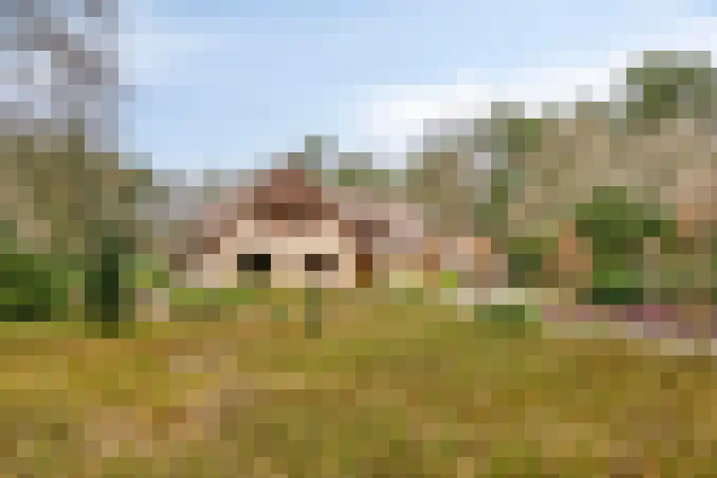 Dennenlaan 9 Epe thumbnail 40