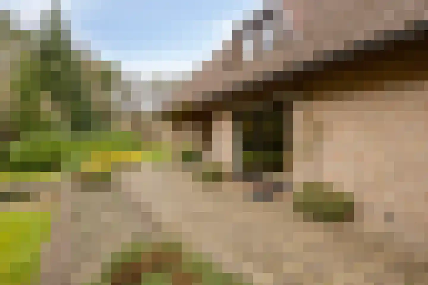 Dennenlaan 9 Epe thumbnail 41