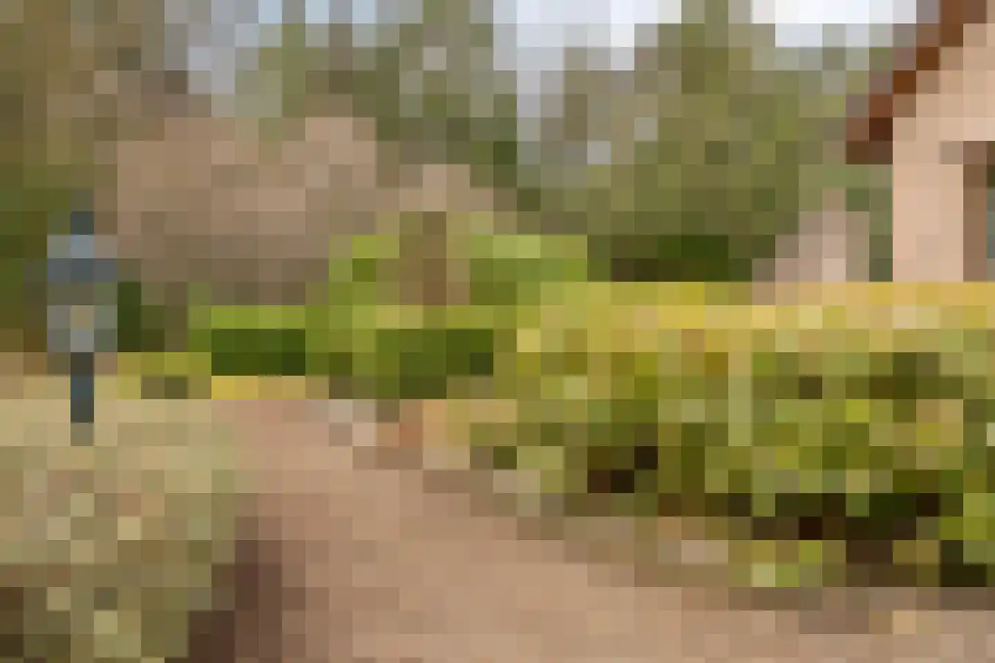 Dennenlaan 9 Epe thumbnail 42