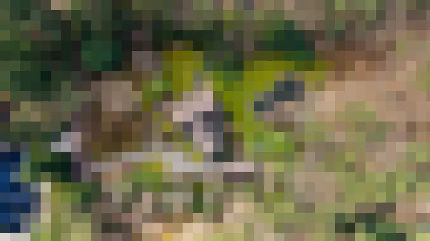 Dennenlaan 9 Epe thumbnail 47