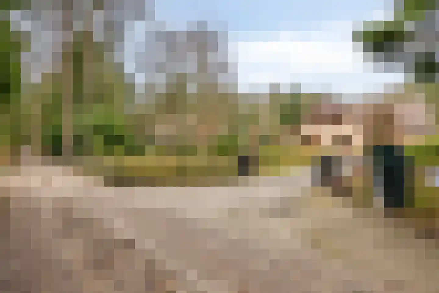 Dennenlaan 9 Epe thumbnail 5