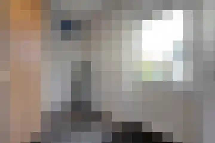 Dennenlaan 9 Havelte thumbnail 11