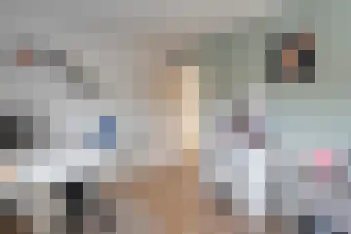 Dennenlaan 9 Havelte thumbnail 26