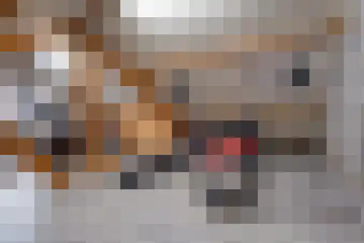 Dennenlaan 9 Havelte thumbnail 33