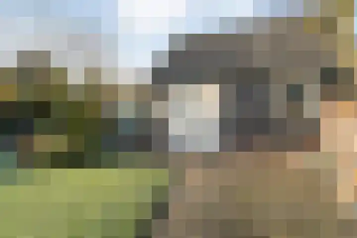 Dennenlaan 9 Havelte thumbnail 36